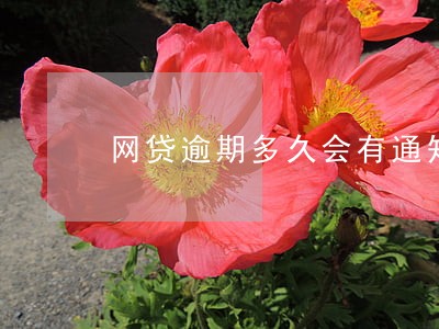 网贷逾期多久会有通知 网贷逾期多久会有通知