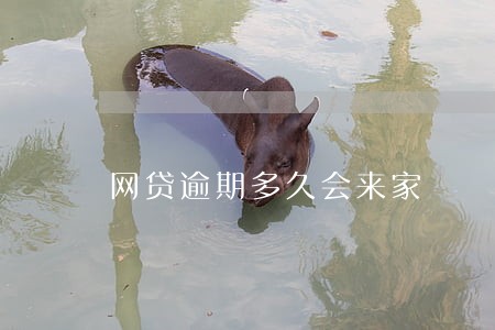 网贷逾期多久会来家 网贷逾期多久会来家
