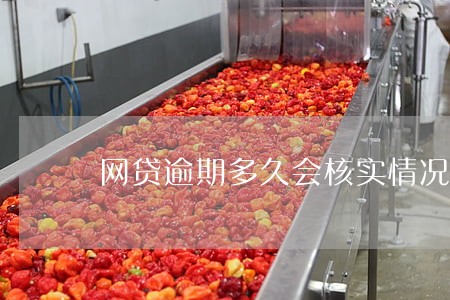 网贷逾期多久会核实情况 网贷逾期多久会核实情况