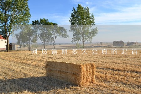 网贷逾期多久会真的起诉