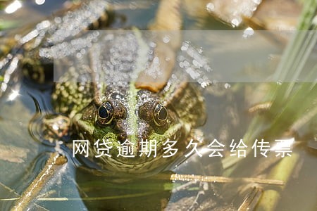 网贷逾期多久会给传票