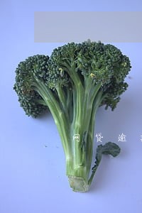 网贷逾期多久会被划成黑名单 网贷逾期多久会被划成黑名单