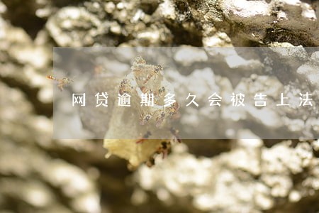 网贷逾期多久会被告上法庭 网贷逾期多久会被告上法庭