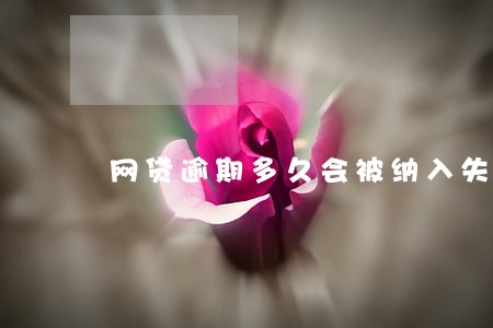 网贷逾期多久会被纳入失信黑名单 网贷逾期多久会被纳入失信黑名单