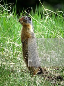 网贷逾期多久会被要求全款 网贷逾期多久会被要求全款