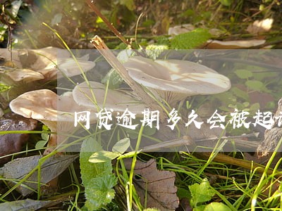 网贷逾期多久会被起诉到法院正规 网贷逾期多久会被起诉到法院正规