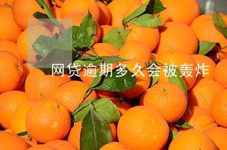 网贷逾期多久会被轰炸 网贷逾期多久会被轰炸