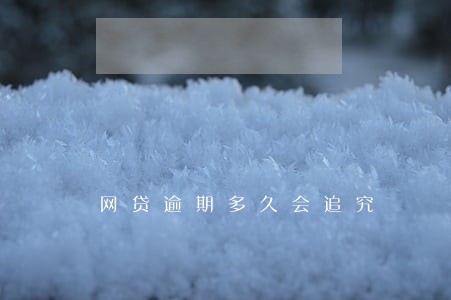 网贷逾期多久会追究 网贷逾期多久会追究