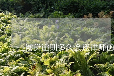网贷逾期多久会递律师函 网贷逾期多久会递律师函