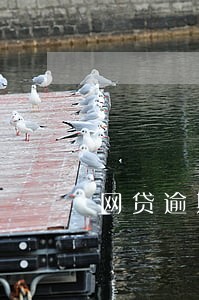网贷逾期多久会通知你 网贷逾期多久会通知你