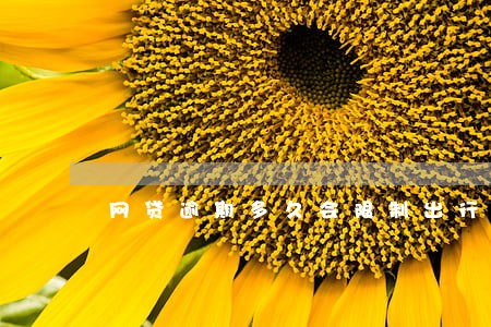 网贷逾期多久会限制出行