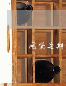 网贷逾期多久会限制坐高铁