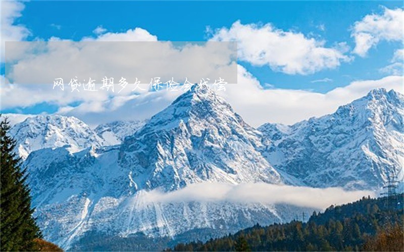 网贷逾期多久保险会代偿 网贷逾期多久保险会代偿