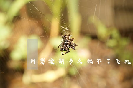 网贷逾期多久做不了飞机 网贷逾期多久做不了飞机