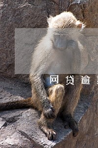 网贷逾期多久催收的开始 网贷逾期多久催收的开始