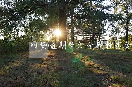 网贷逾期多久分期就变全款了