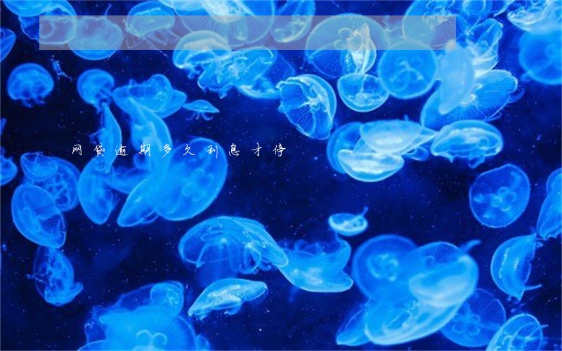 网贷逾期多久利息才停 网贷逾期多久利息才停