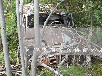 网贷逾期多久协商还本金 网贷逾期多久协商还本金