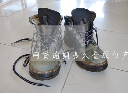 网贷逾期多久变成白户 网贷逾期多久变成白户