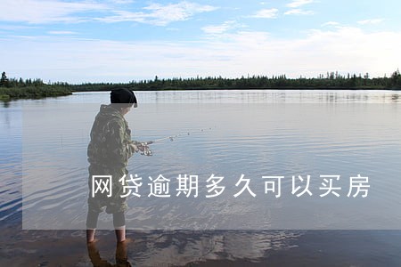 网贷逾期多久可以买房 网贷逾期多久可以买房