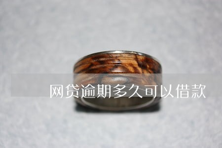 网贷逾期多久可以借款 网贷逾期多久可以借款