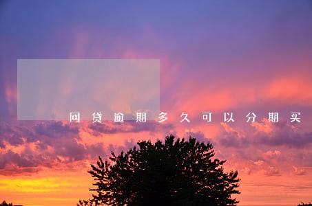 网贷逾期多久可以分期买车 网贷逾期多久可以分期买车