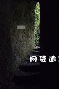 网贷逾期多久可以取传票 网贷逾期多久可以取传票