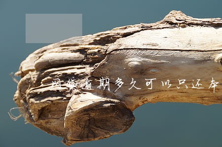 网贷逾期多久可以只还本金 网贷逾期多久可以只还本金