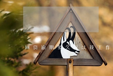 网贷逾期多久可以找工作吗 网贷逾期多久可以找工作吗