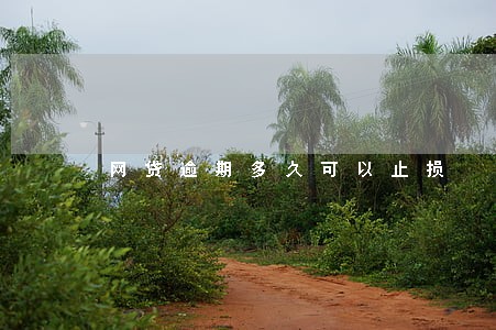 网贷逾期多久可以止损 网贷逾期多久可以止损