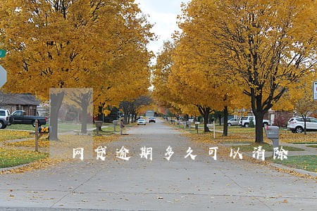 网贷逾期多久可以清除 网贷逾期多久可以清除