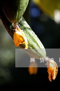 网贷逾期多久可以申请储蓄卡 网贷逾期多久可以申请储蓄卡