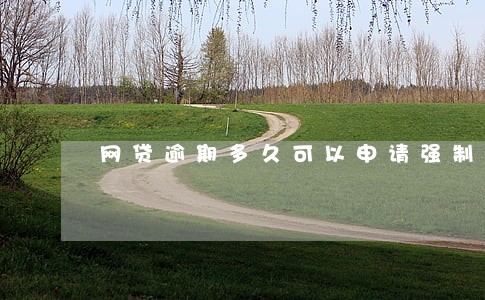 网贷逾期多久可以申请强制执行 网贷逾期多久可以申请强制执行