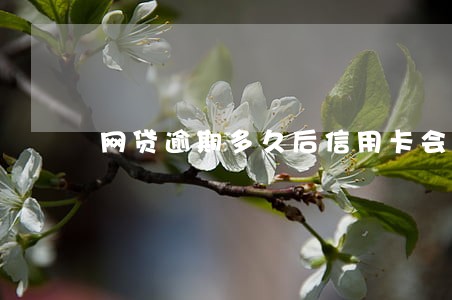 网贷逾期多久后信用卡会封控 网贷逾期多久后信用卡会封控