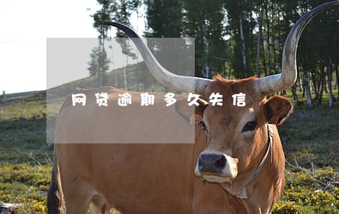 网贷逾期多久失信
