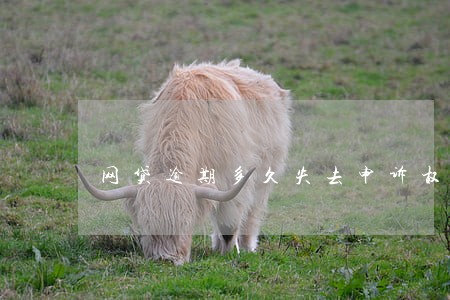 网贷逾期多久失去申诉权利 网贷逾期多久失去申诉权利
