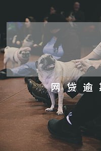 网贷逾期多久寄快件 网贷逾期多久寄快件
