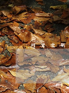 网贷逾期多久就会爆通讯录 网贷逾期多久就会爆通讯录