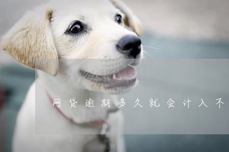 网贷逾期多久就会计入不良征信 网贷逾期多久就会计入不良征信