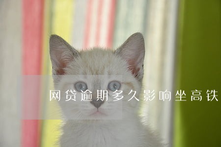 网贷逾期多久影响坐高铁 网贷逾期多久影响坐高铁