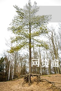 网贷逾期多久影响孩子上学 网贷逾期多久影响孩子上学