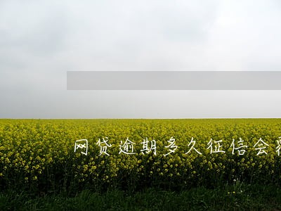 网贷逾期多久征信会覆盖掉 网贷逾期多久征信会覆盖掉