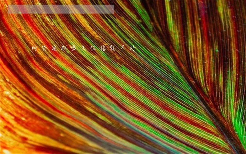 网贷逾期多久征信就不好 网贷逾期多久征信就不好