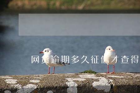 网贷逾期多久征信才查得到 网贷逾期多久征信才查得到