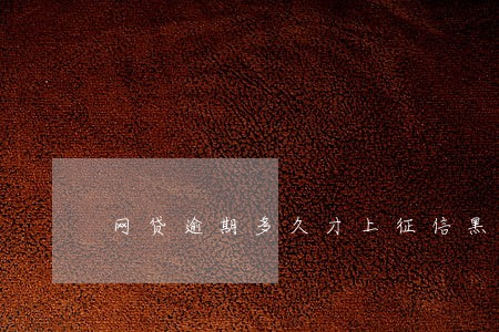 网贷逾期多久才上征信黑名单