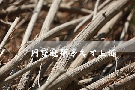 网贷逾期多久才上诉 网贷逾期多久才上诉