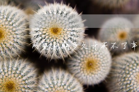 网贷逾期多久才买不了车票 网贷逾期多久才买不了车票