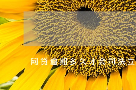 网贷逾期多久才会司法立案