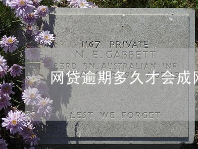 网贷逾期多久才会成网黑呀 网贷逾期多久才会成网黑呀