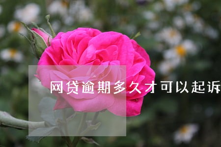 网贷逾期多久才可以起诉 网贷逾期多久才可以起诉